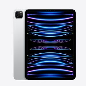 iPad Pro 11inch
